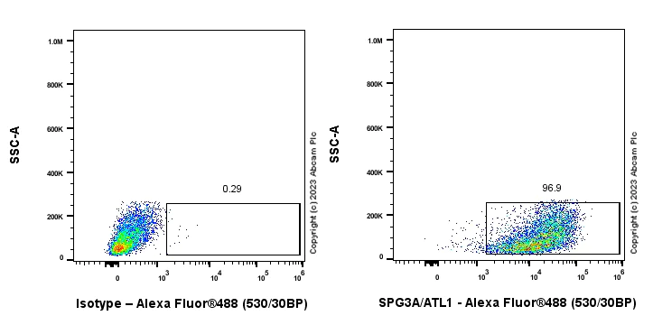 Flow Cytometry (Intracellular) - Anti-SPG3A/ATL1 antibody [EPR28057-64] (AB316111)