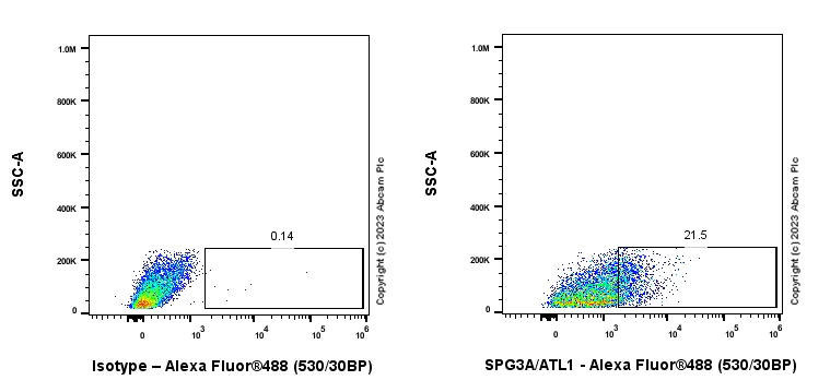 Flow Cytometry (Intracellular) - Anti-SPG3A/ATL1 antibody [EPR28057-64] (AB316111)