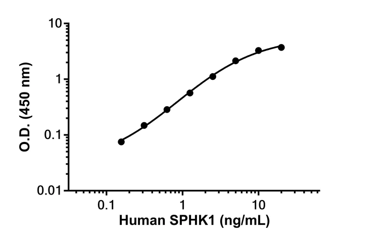 Sandwich ELISA - Anti-SPHK1 antibody [EPR24511-45] - BSA and Azide free (Detector) (AB305135)