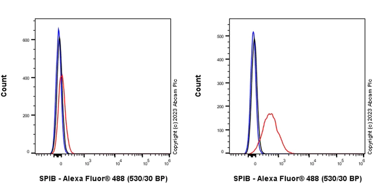 Flow Cytometry (Intracellular) - Anti-SPIB antibody [EPR26784-117] (AB309346)