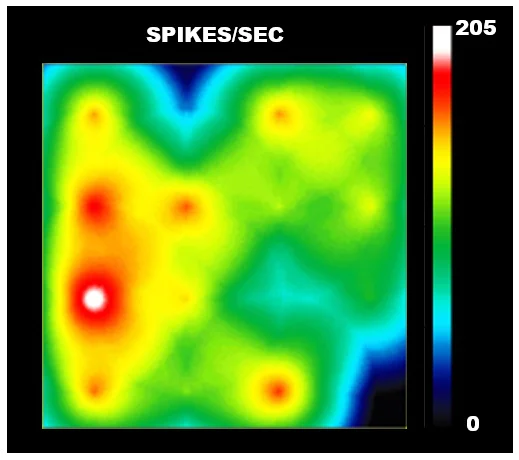 Functional Studies - Spinal Motor Neuron - Human iPSC derived cells (Male, WC-30) (AB315364)