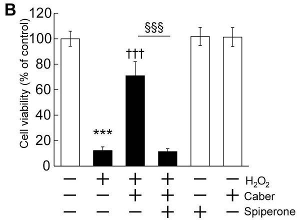 Functional Studies - Spiperone hydrochloride, 5-HT and D2-like receptor antagonist (AB120549)