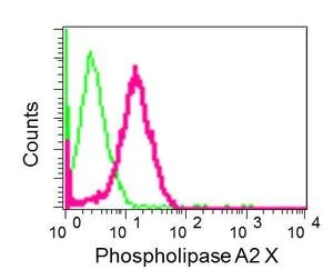 Flow Cytometry (Intracellular) - Anti-sPLA2-X antibody [EPR11202] - BSA and Azide free (AB249370)
