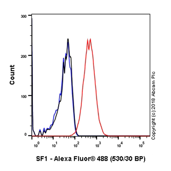 Flow Cytometry (Intracellular) - Anti-splicing factor 1 antibody [EPR22437-50] - BSA and Azide free (AB254199)