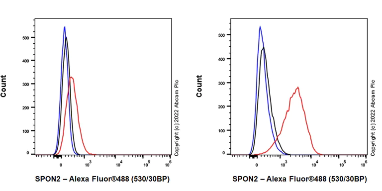 Flow Cytometry (Intracellular) - Anti-SPON2 antibody [EPR25828A-87] - BSA and Azide free (AB302898)
