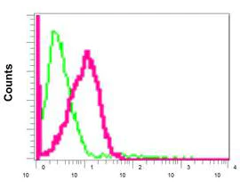 Flow Cytometry (Intracellular) - Anti-SPR antibody [EPR9290] (AB157194)
