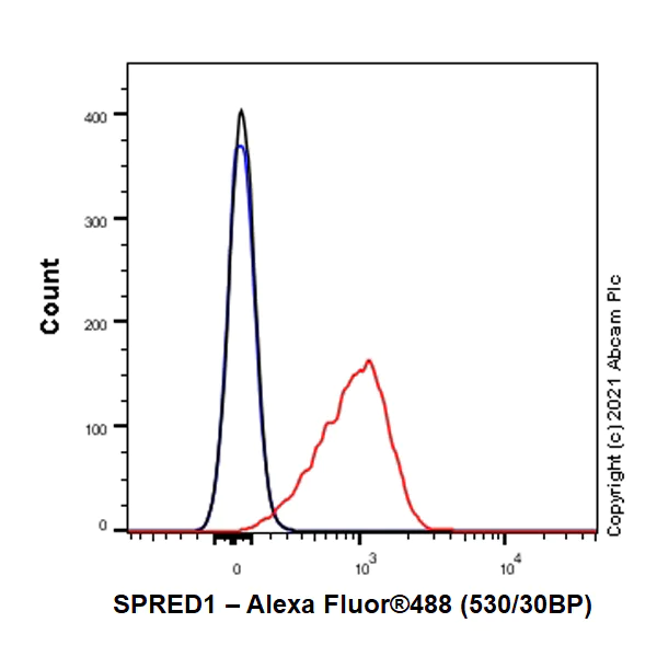 Flow Cytometry - Anti-SPRED1 antibody [EPR24412-120] (AB271191)