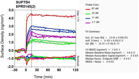 OI-RD Scanning - Anti-SPT5 antibody [EPR5145(2)] - BSA and Azide free (AB248118)