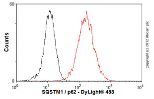 Flow Cytometry - Anti-SQSTM1 / p62 antibody [2C11] - BSA and Azide free (AB56416), expandable thumbnail