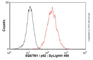 Flow Cytometry - Anti-SQSTM1 / p62 antibody [2C11] - BSA and Azide free (AB56416)