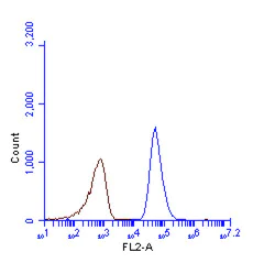 Flow Cytometry - Anti-SQSTM1 / p62 antibody - Autophagosome Marker (AB155686)