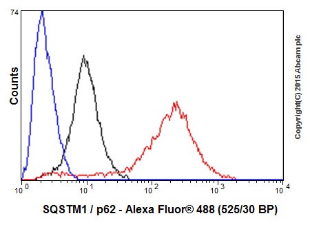 Flow Cytometry (Intracellular) - Anti-SQSTM1 / p62 antibody [EPR18351] - BSA and Azide free (ab227992), expandable thumbnail