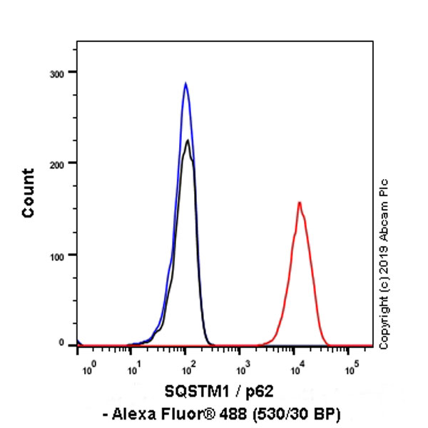 Flow Cytometry (Intracellular) - Anti-SQSTM1 / p62 antibody [EPR23101-103] - Autophagosome Marker (ab240635), expandable thumbnail