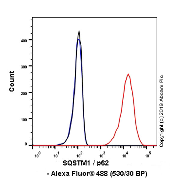 Flow Cytometry (Intracellular) - Anti-SQSTM1 / p62 antibody [EPR23101-103] - Autophagosome Marker (ab240635), expandable thumbnail