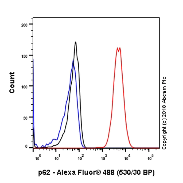 Flow Cytometry (Intracellular) - Anti-SQSTM1 / p62 antibody [EPR4844] - Autophagosome Marker (AB109012)