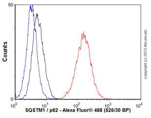 Flow Cytometry (Intracellular) - Anti-SQSTM1 / p62 antibody [EPR4844] - BSA and Azide free (AB219581)