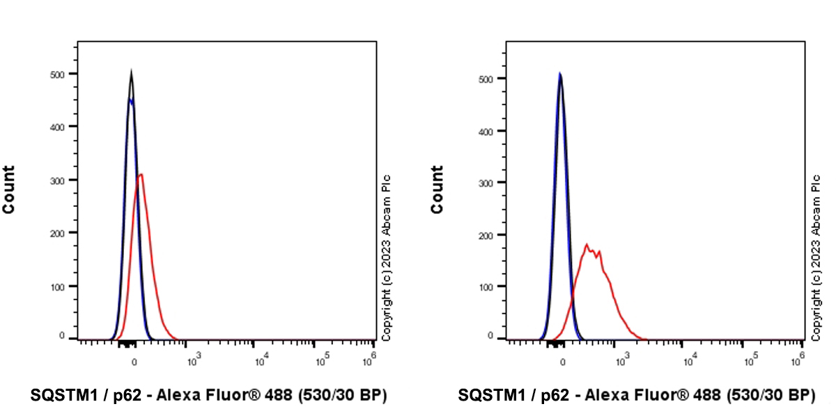 Flow Cytometry (Intracellular) - Anti-SQSTM1 / p62 antibody [RM1079] (ab314504), expandable thumbnail