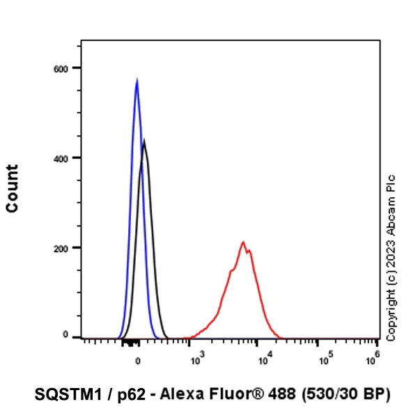 Flow Cytometry (Intracellular) - Anti-SQSTM1 / p62 antibody [RM1079] - BSA and Azide free (AB314505)