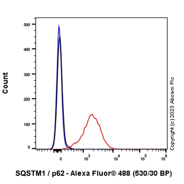 Flow Cytometry (Intracellular) - Anti-SQSTM1 / p62 antibody [RM1079] - BSA and Azide free (AB314505)