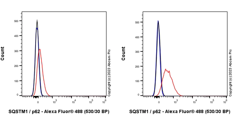 Flow Cytometry (Intracellular) - Anti-SQSTM1 / p62 antibody [RM1079] - BSA and Azide free (AB314505)