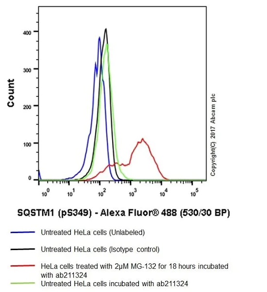 Flow Cytometry (Intracellular) - Anti-SQSTM1 / p62 (phospho S349) antibody [EPR20451] (AB211324)