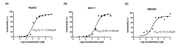 Functional Studies - SRB Assay / Sulforhodamine B Assay Kit (AB235935)