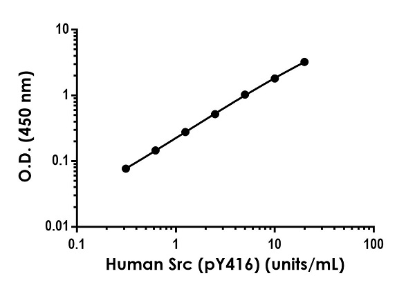 Sandwich ELISA - Anti-Src antibody [EPR20757-135] - BSA and Azide free (Capture) (AB272313)