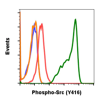 Flow Cytometry - Anti-Src (phospho Y416) antibody [SrcY416-C4] (AB278693)