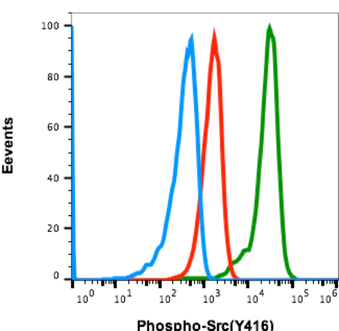 Flow Cytometry - Anti-Src (phospho Y416) antibody [SrcY416-C4] (AB278693)