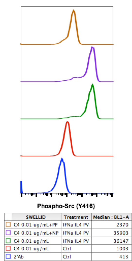 Flow Cytometry - Anti-Src (phospho Y416) antibody [SrcY416-C4] (AB278693), expandable thumbnail