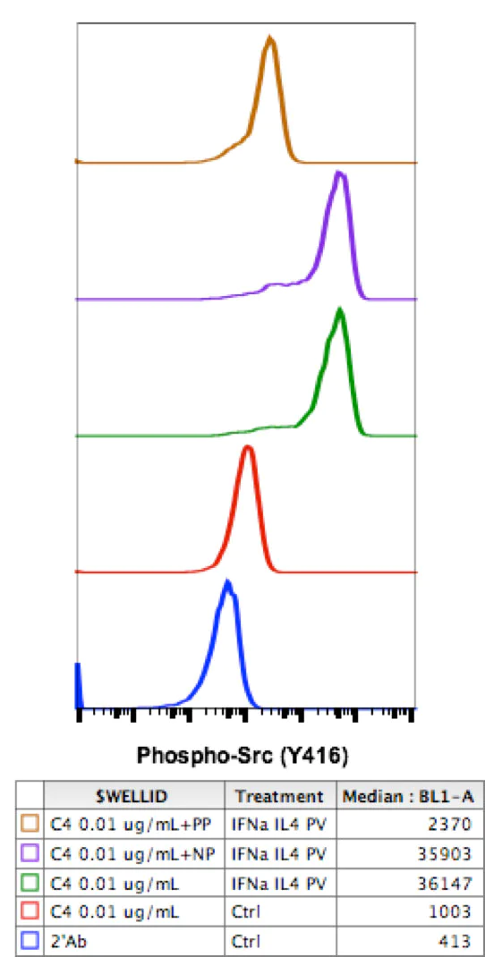 Flow Cytometry - Anti-Src (phospho Y416) antibody [SrcY416-C4] (AB278693)