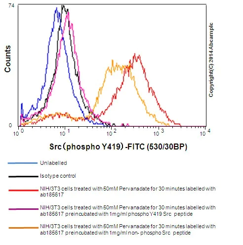 Flow Cytometry (Intracellular) - Anti-Src (phospho Y419) antibody [EPR17734] (AB185617)