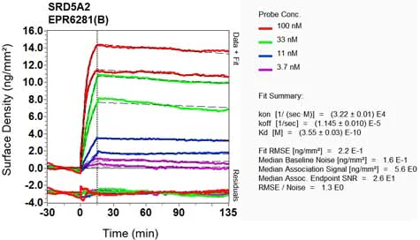 OI-RD Scanning - Anti-SRD5A2 antibody [EPR6281(B)] (AB124877)