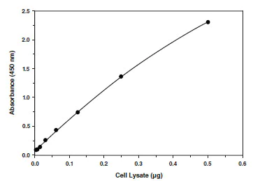 Functional Studies - SREBP-1 Transcription Factor Assay Kit (AB133125)