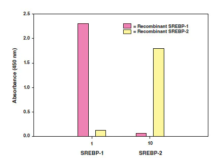 Functional Studies - SREBP-1 Transcription Factor Assay Kit (AB133125)