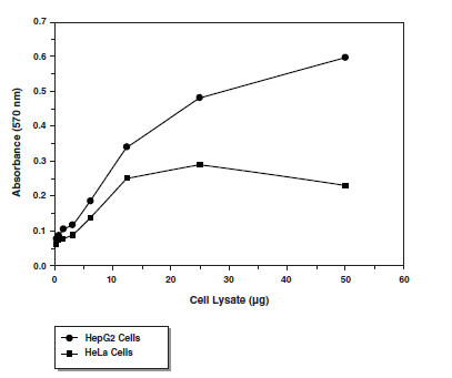 Functional Studies - SREBP-1 Transcription Factor Assay Kit (AB133125)
