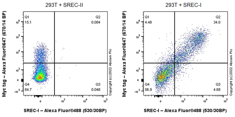 Flow Cytometry (Intracellular) - Anti-SREC-I antibody [EPR25615-161] (AB300407)