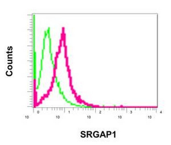 Flow Cytometry (Intracellular) - Anti-SRGAP1 antibody [EPR8760(2)] (AB171938), expandable thumbnail