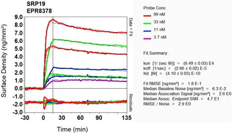 OI-RD Scanning - Anti-SRP19 antibody [EPR8378] (AB131239)