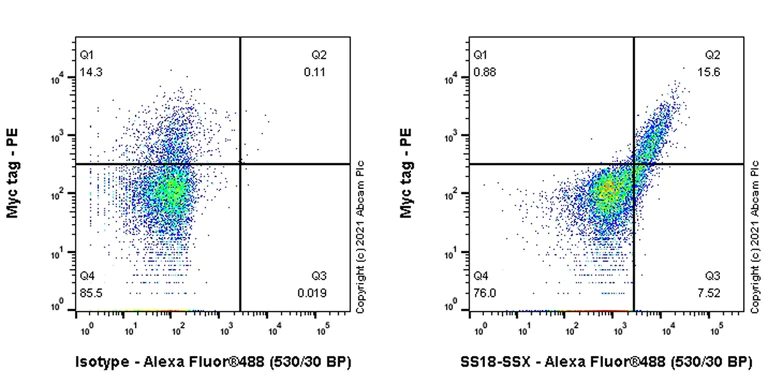 Flow Cytometry (Intracellular) - Anti-SS18-SSX Fusion Protein antibody [EPR24159-81] - BSA and Azide free (AB281565)