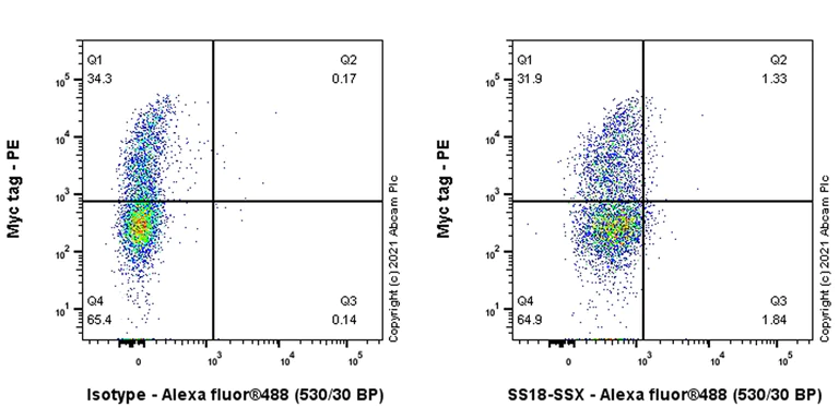 Flow Cytometry (Intracellular) - Anti-SS18-SSX Fusion Protein antibody [EPR24159-81] - BSA and Azide free (AB281565)