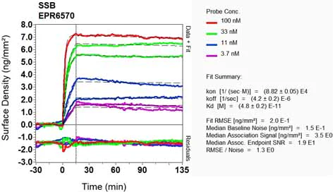 OI-RD Scanning - Anti-SSB antibody [EPR6570] - BSA and Azide free (AB232025)