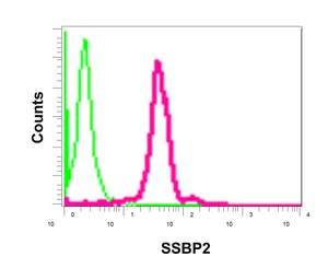 Flow Cytometry (Intracellular) - Anti-SSBP2 antibody [EPR11520] - BSA and Azide free (AB250016)