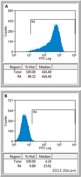 Flow Cytometry - Anti-SSEA3 antibody [MC631] (AB16286), expandable thumbnail