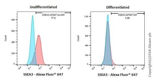 Flow Cytometry - Anti-SSEA3 antibody [MC631] (AB16286)