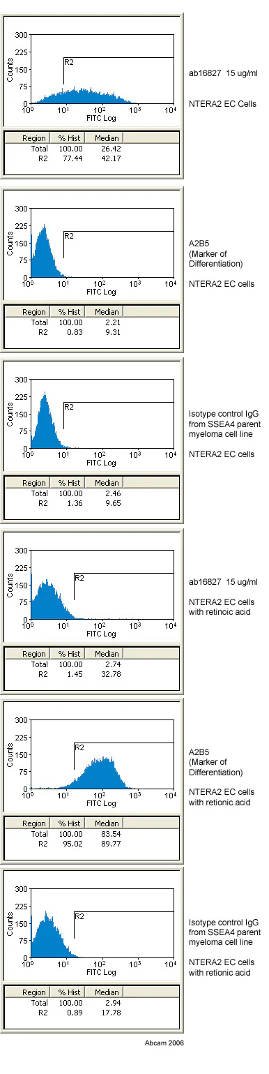 Flow Cytometry - Anti-SSEA4 antibody [MC813-70] (AB16287)