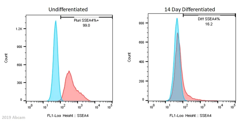 Flow Cytometry - Anti-SSEA4 antibody [MC813-70] (AB16287)