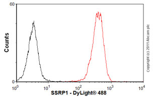 Anti-SSRP1 antibody [10D7]