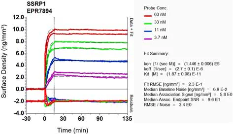 OI-RD Scanning - Anti-SSRP1 antibody [EPR7894] (AB129109)