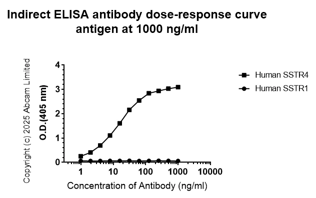 Indirect ELISA - Anti-SSTR4 antibody [EPR29682-48] (AB324103)